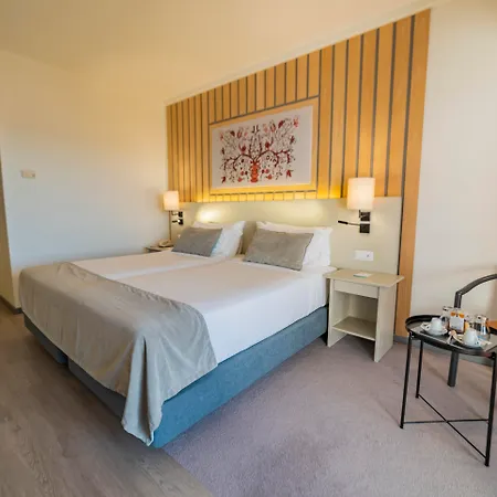 Melia Hotel Castelo Branco (Centro)