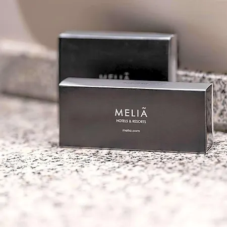 Hotel Melia 4*