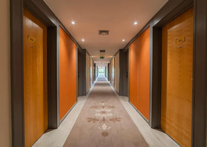 Melia Hotel Castelo Branco (Centro)