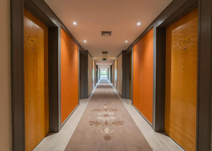 Meliá Hotel Castelo Branco (Centro)